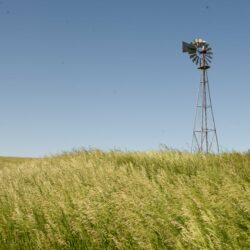 CRP with blue skies and windmill