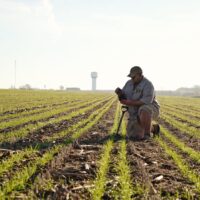 NE Iowa farmer leads the way in profitable conservation