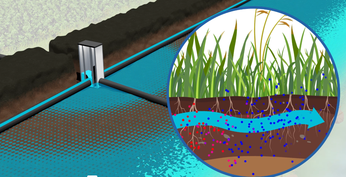 underground view of saturated buffer